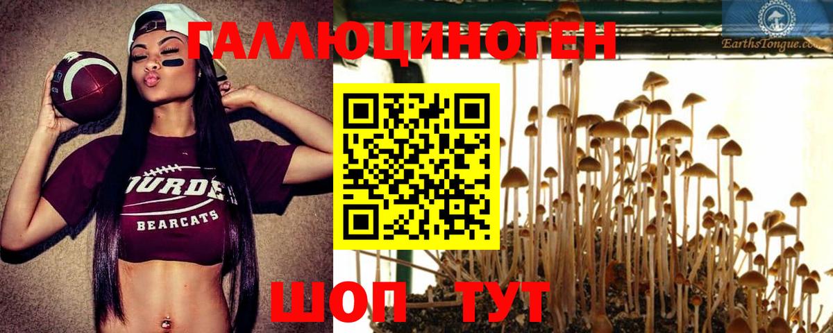 Сунжа  Галлюциногенные грибы MAGIC MUSHROOMS  Вход с VPN 